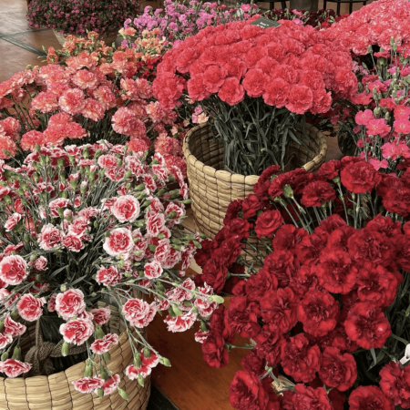 Captura de pantalla 2026-02-03 a la(s) 7.01.43 p. m.